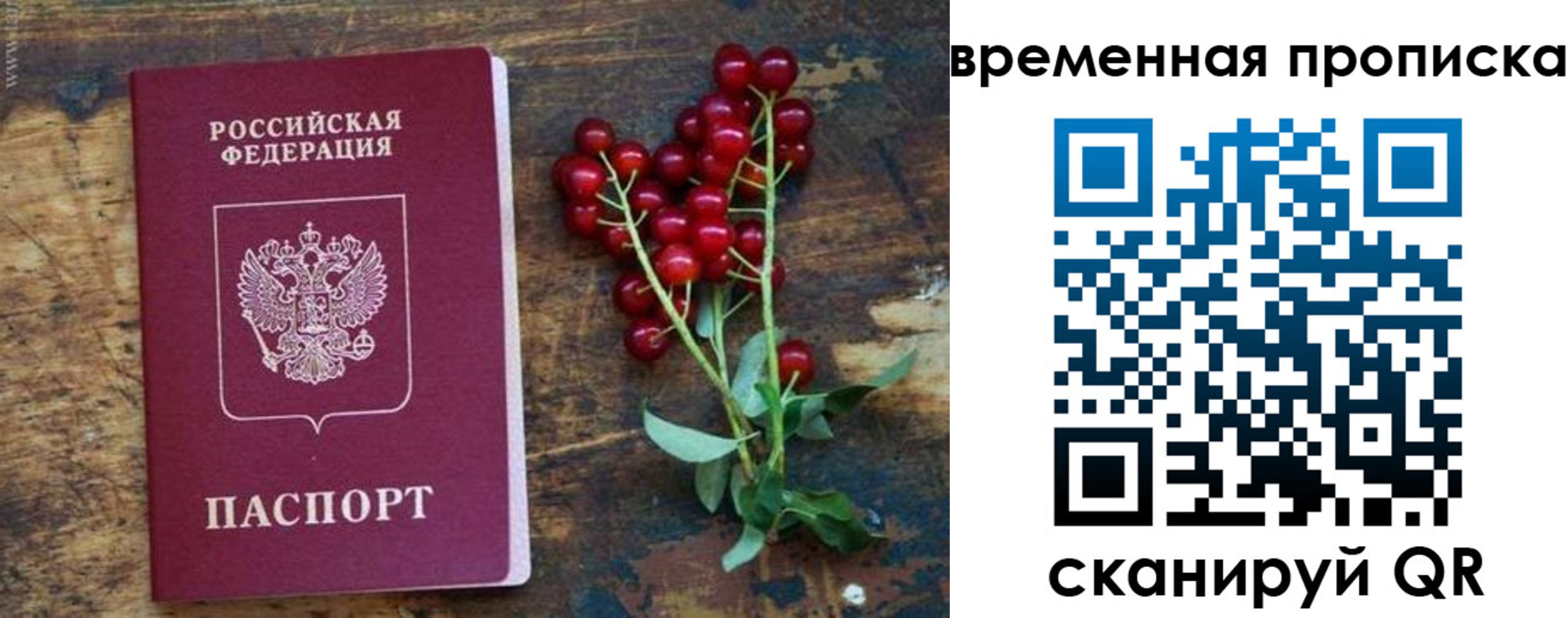 временная регистрация гарантия в Шумихе